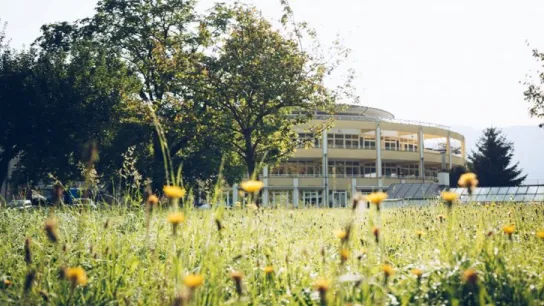 © A. ö. Krankenhaus des Deutschen Ordens Friesach GmbH Begrünte Außenanlage einer Gesundheitseinrichtung mit Blumenwiese, Bäumen und einem hellen Gebäude im Hintergrund.
